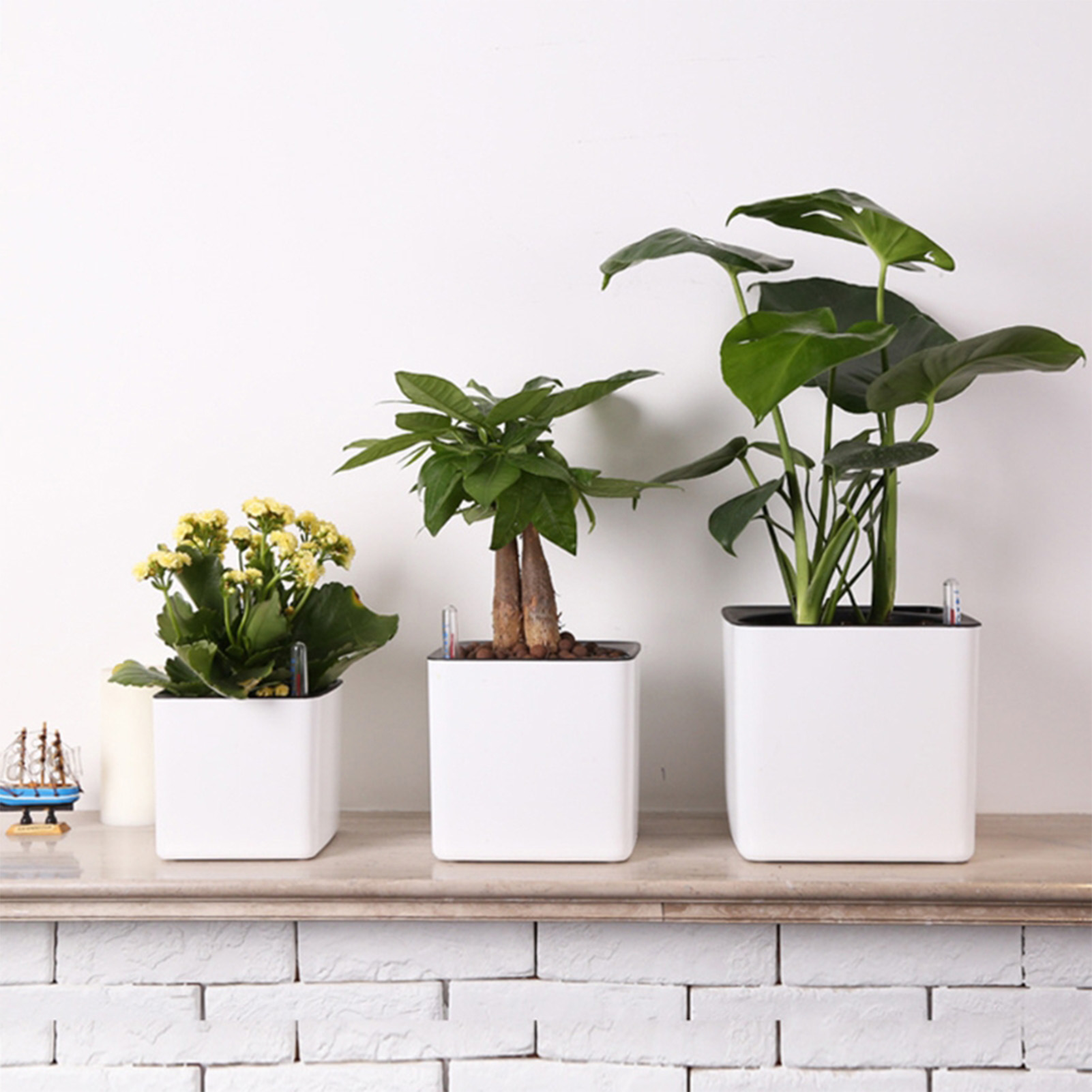 Self-Watering Planter - 3 size Lazy flowerpot Green Plant