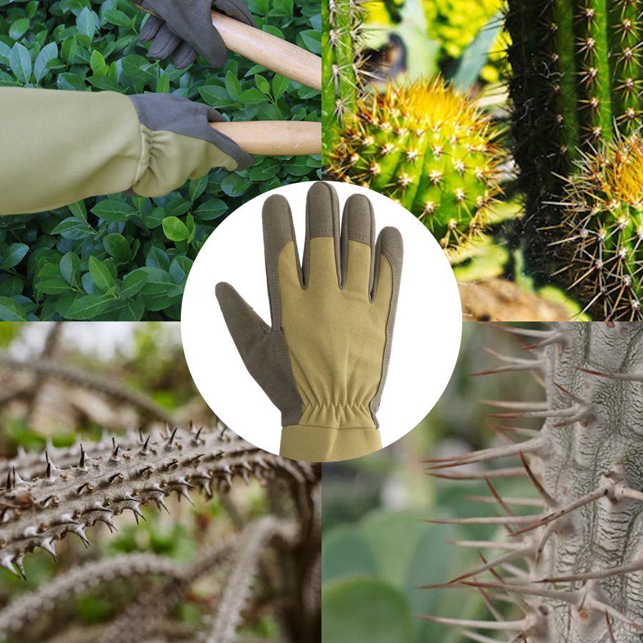 Long Style Gardening Gloves Th - đánh giá và giá Garden Gloves Thorn Proof