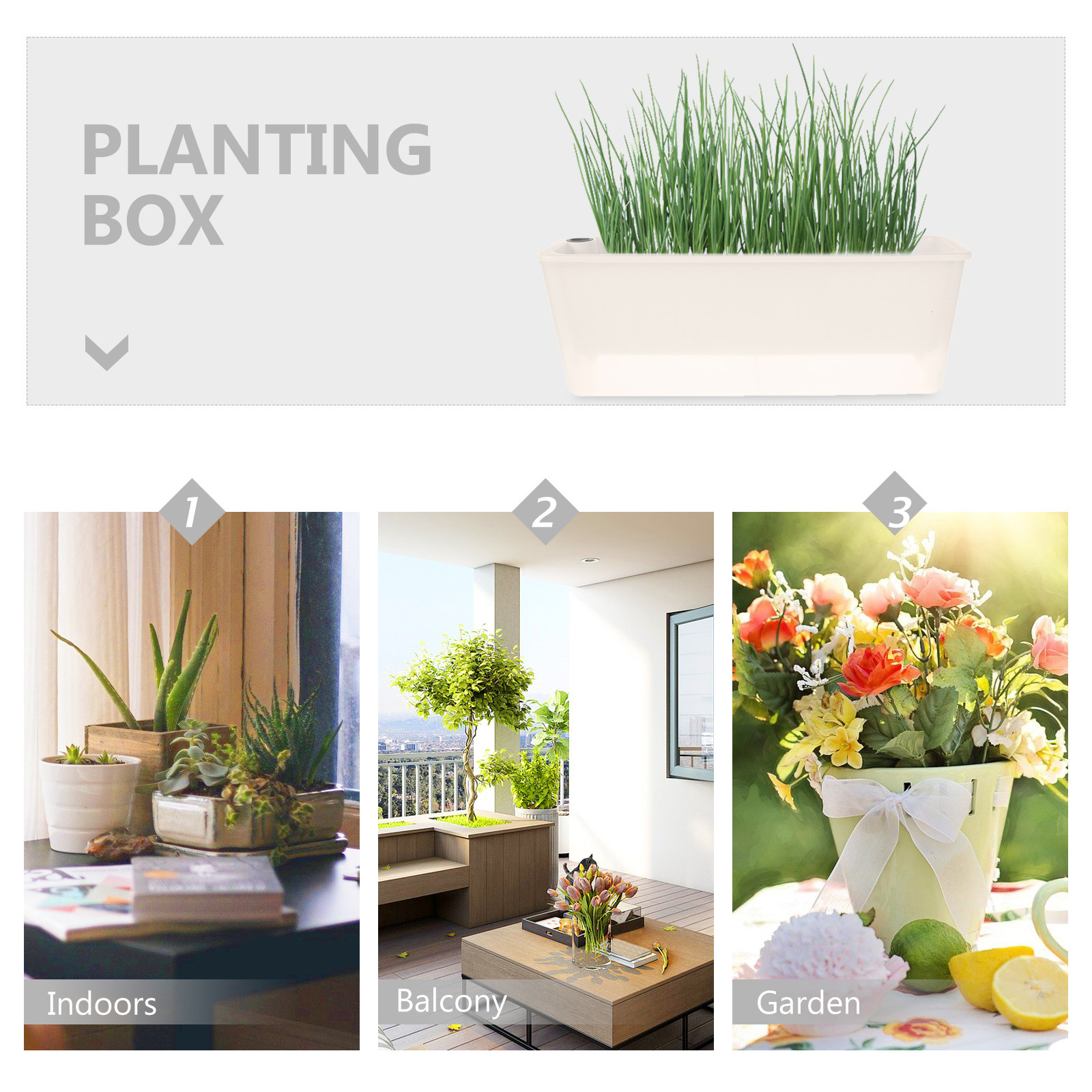 Rectangle Windowsill Planter B - đánh giá và giá Self-Watering Planter