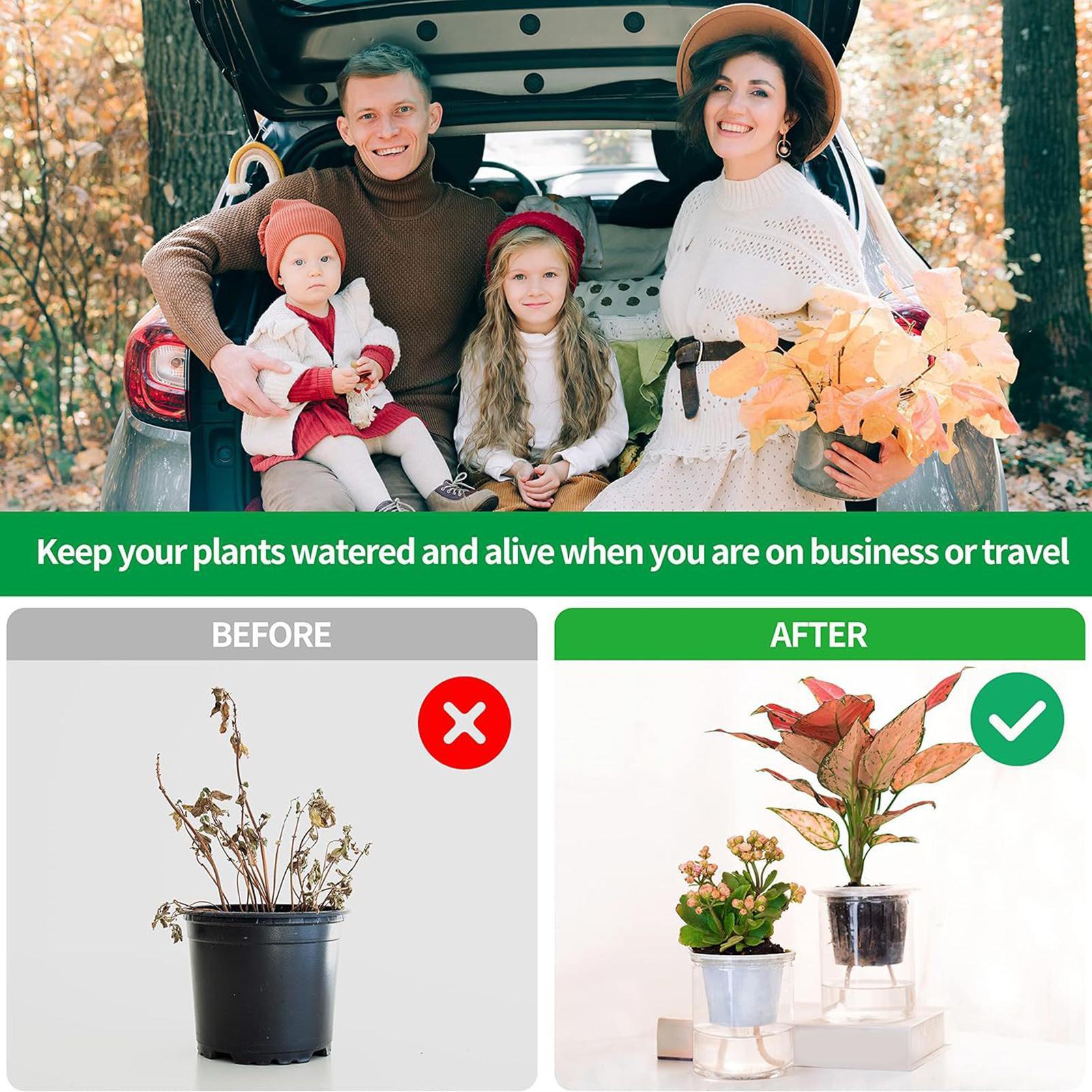 Plant Wicks For Self Watering  - đánh giá và giá Self-Watering Planter