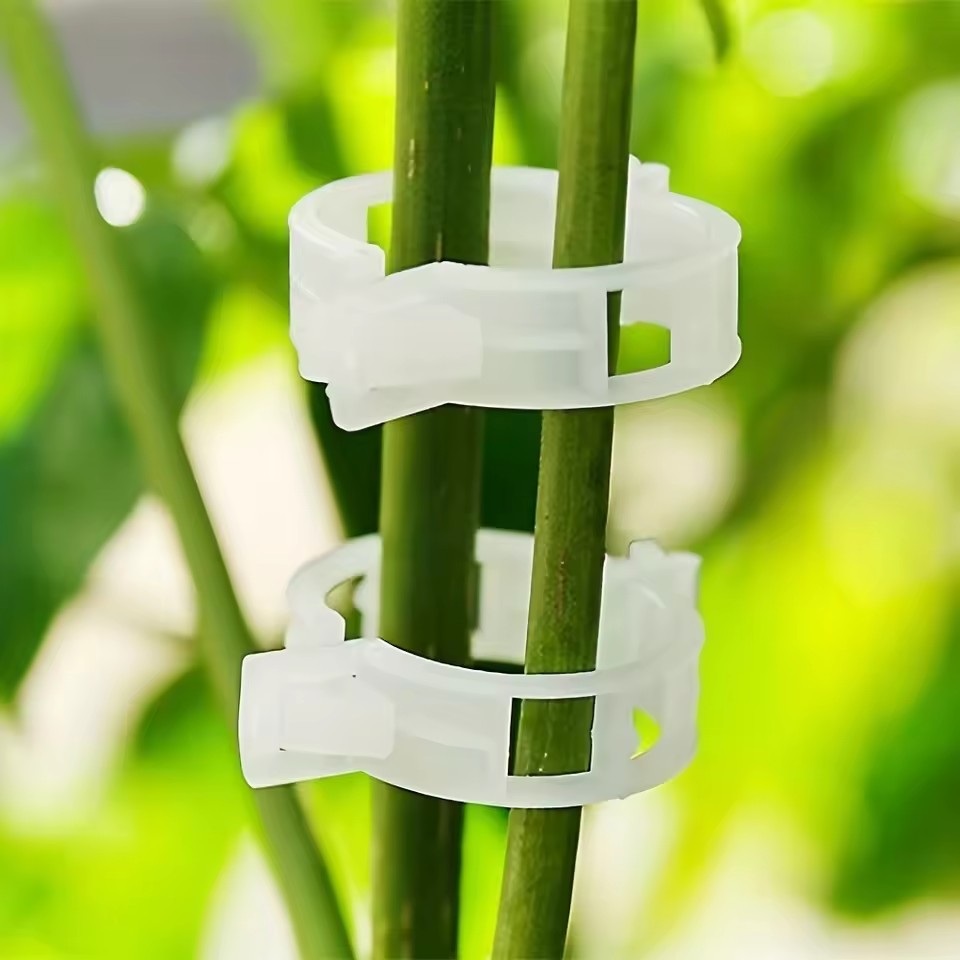 20Pcs Plant Support Clips,Snap - đánh giá và giá Gardening Tools Vegetables