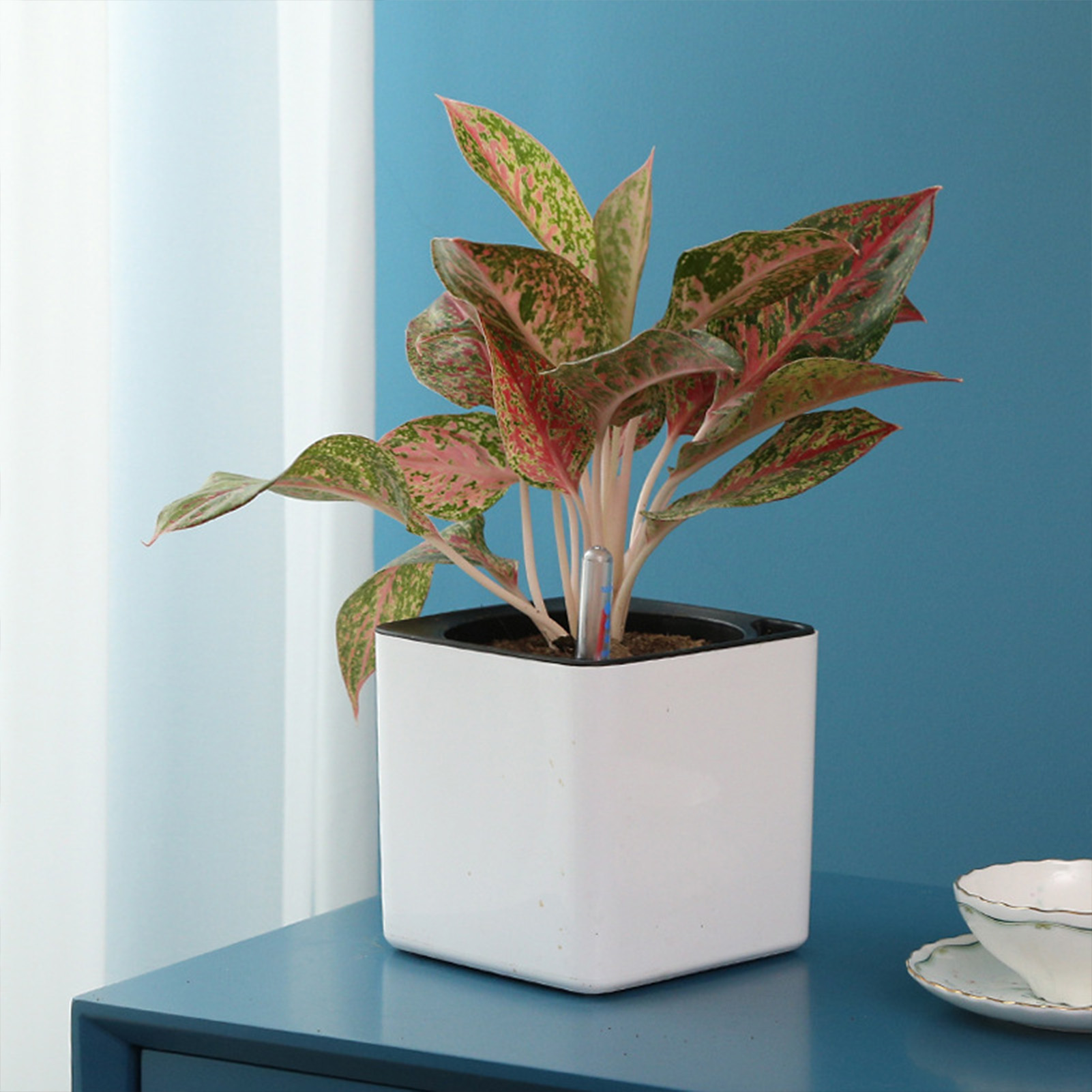 3 size Lazy flowerpot Green Pl - đánh giá và giá Self-Watering Planter