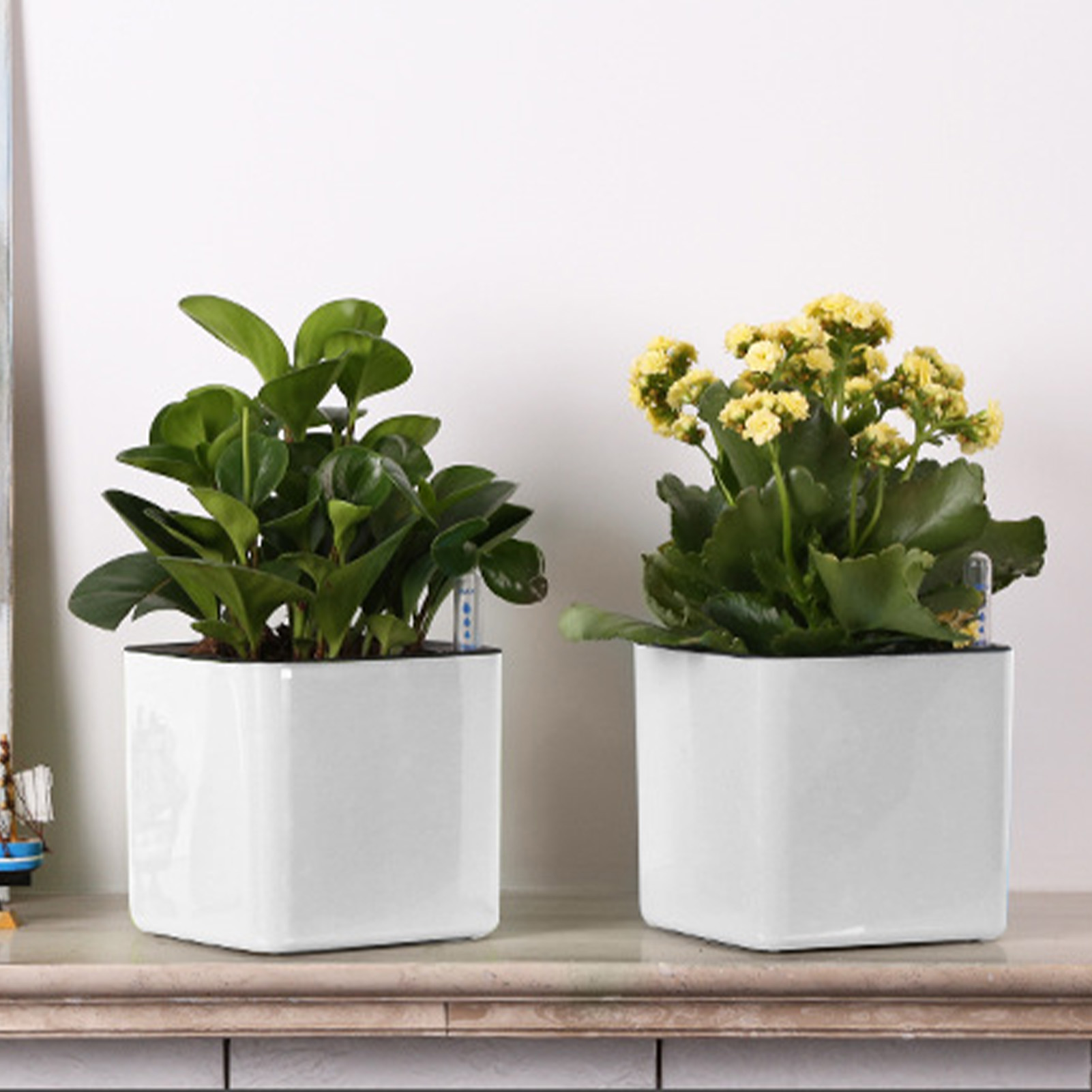 3 size Lazy flowerpot Green Pl - đánh giá và giá Self-Watering Planter