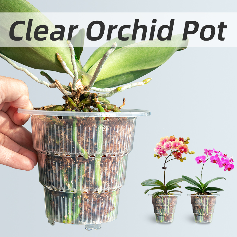 Meshpot Clear Plastic Orchid P - đánh giá và giá Orchid Potting Mix