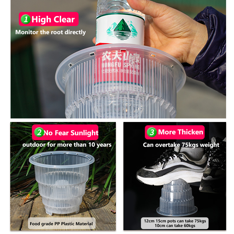 Meshpot Clear Plastic Orchid P - đánh giá và giá Orchid Potting Mix