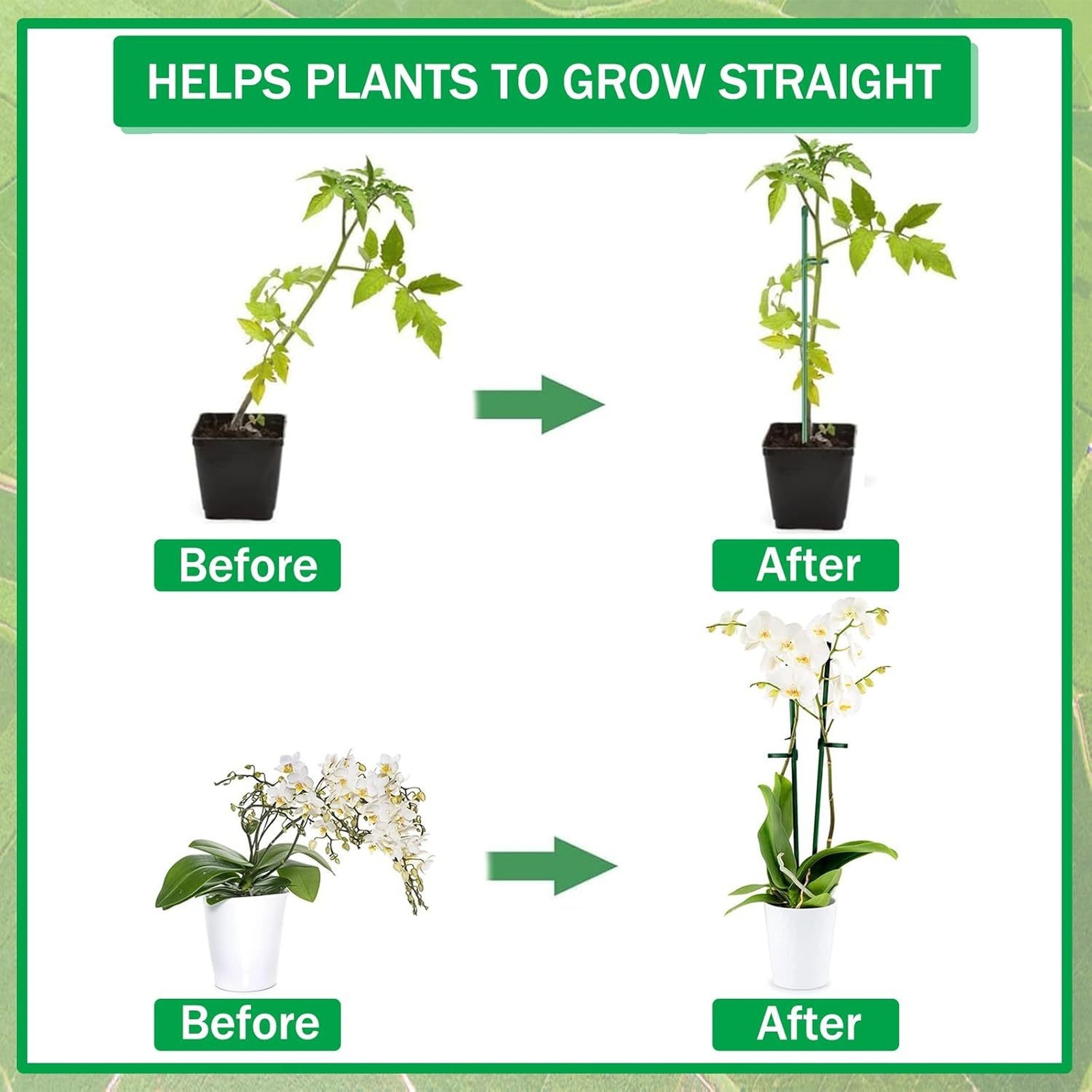 Plant Supports Rod Single Stem - đánh giá và giá Orchid Potting Mix