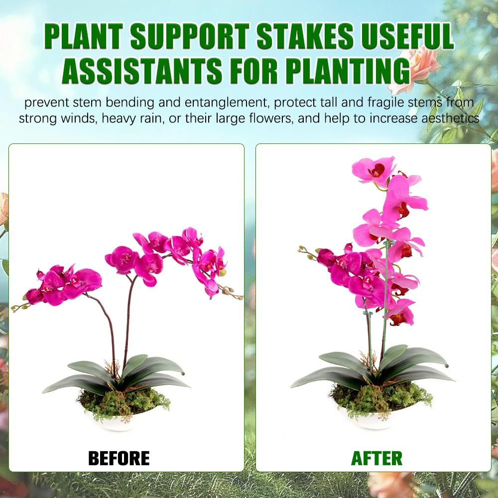 5/10PCS Plant Supports Stand B - đánh giá và giá Orchid Potting Mix