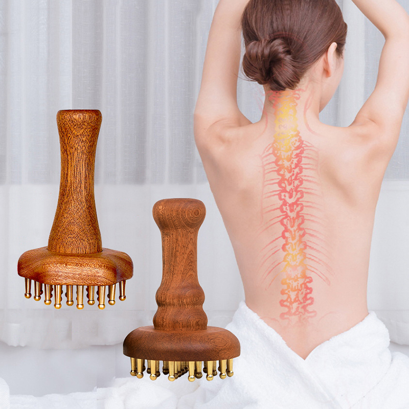 Durable Chinese SPA Gua Sha To - đánh giá và giá Gardening Tools Long Handle