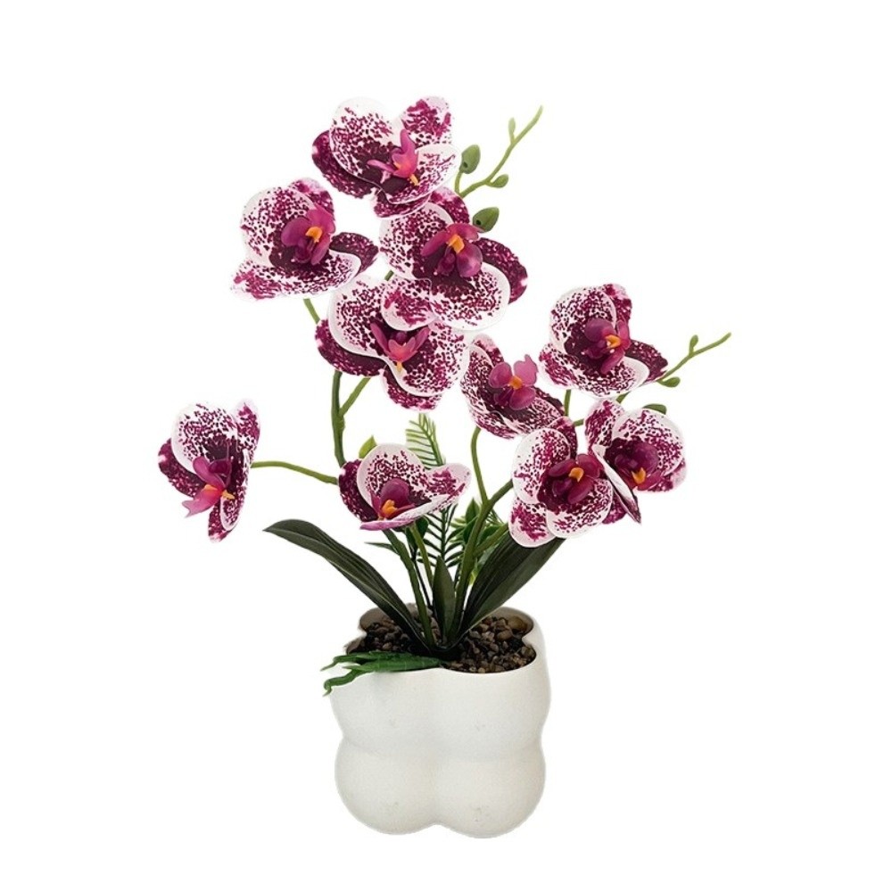 Multi-Bloom Simulated Butterfl - đánh giá và giá Orchid Potting Mix