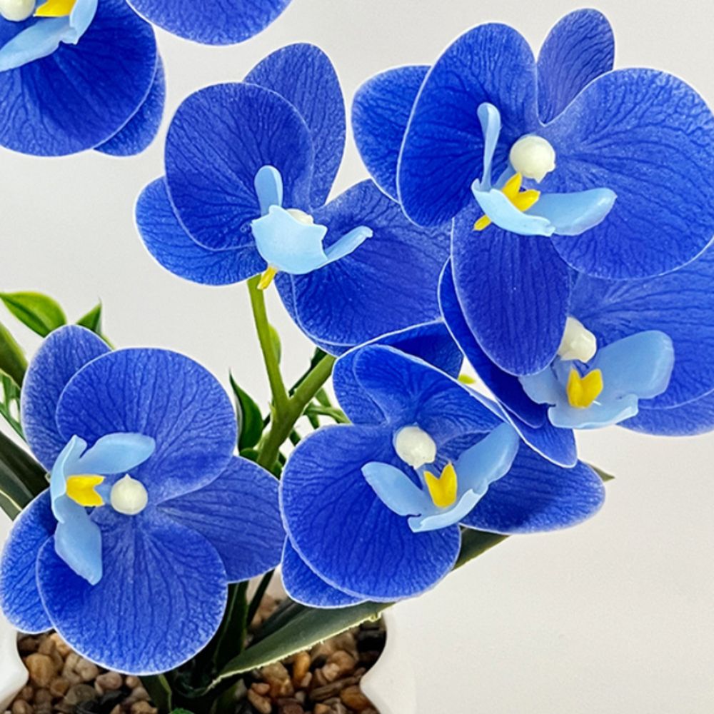 Multi-Bloom Simulated Butterfl - đánh giá và giá Orchid Potting Mix