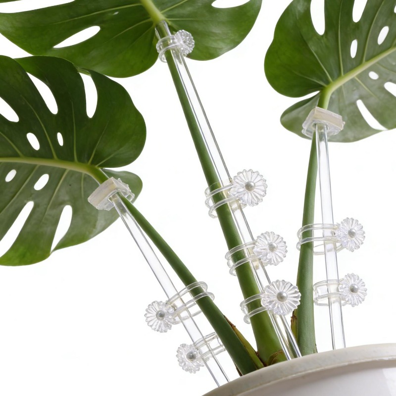 Reusable Clear Flower Support  - đánh giá và giá Orchid Potting Mix