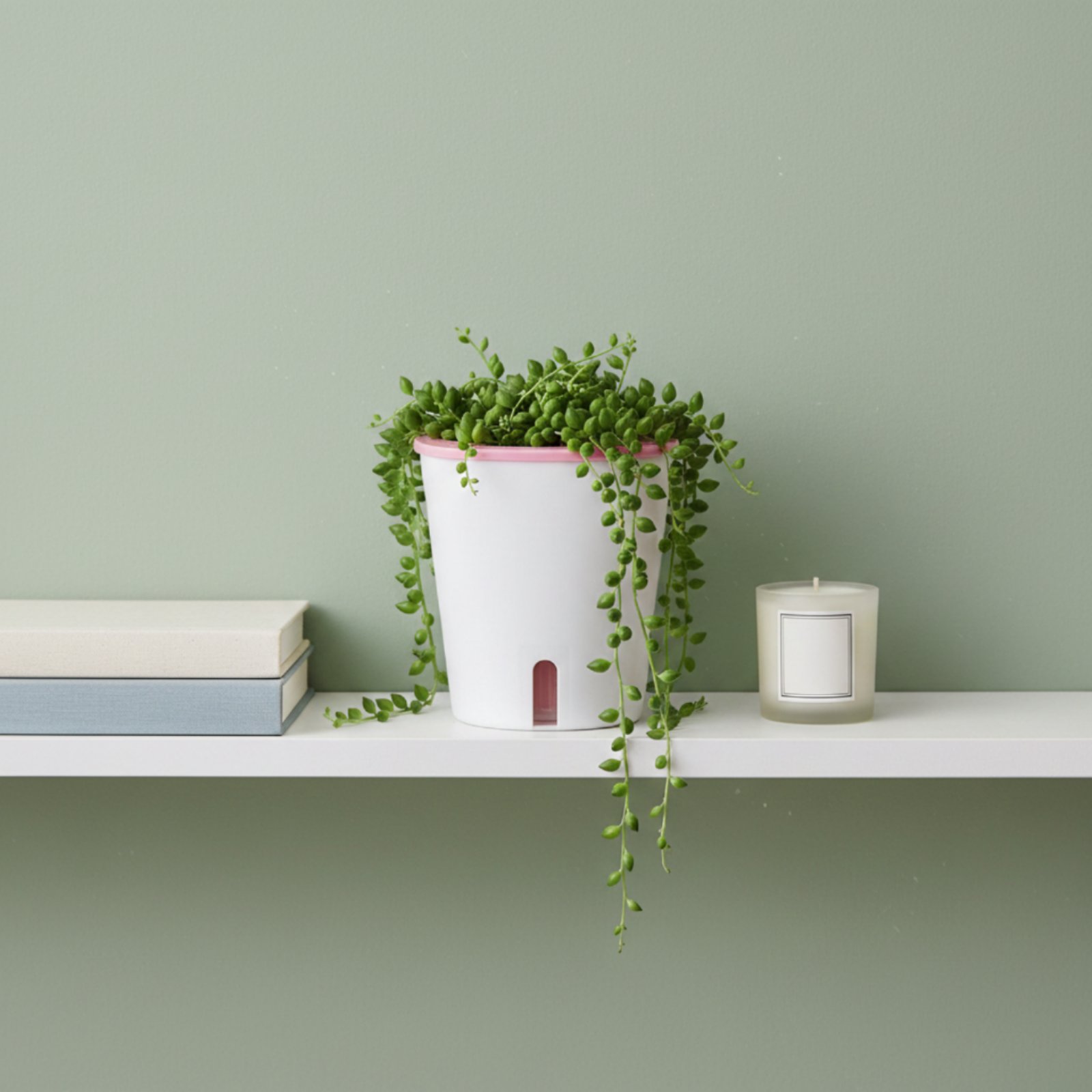 Self Watering Planter Large Si - đánh giá và giá Self-Watering Planter