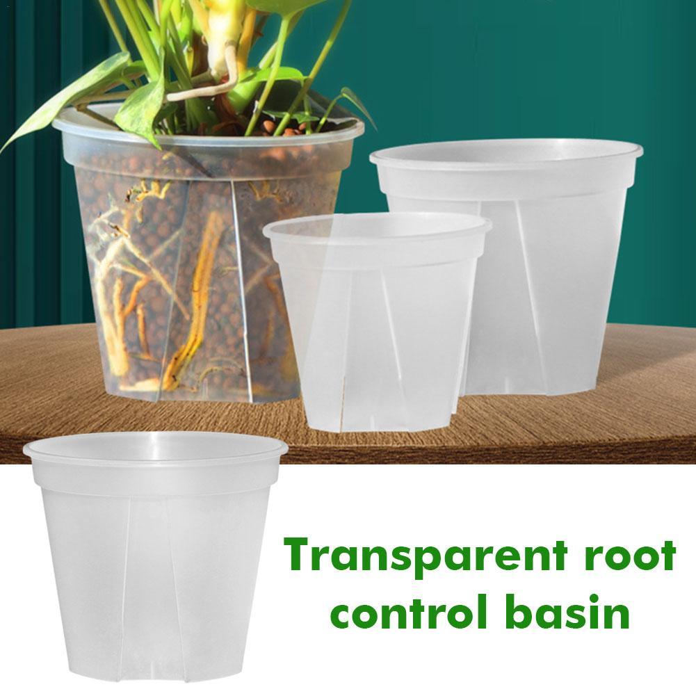 Transparent Plastic Pots Root  - đánh giá và giá Orchid Potting Mix