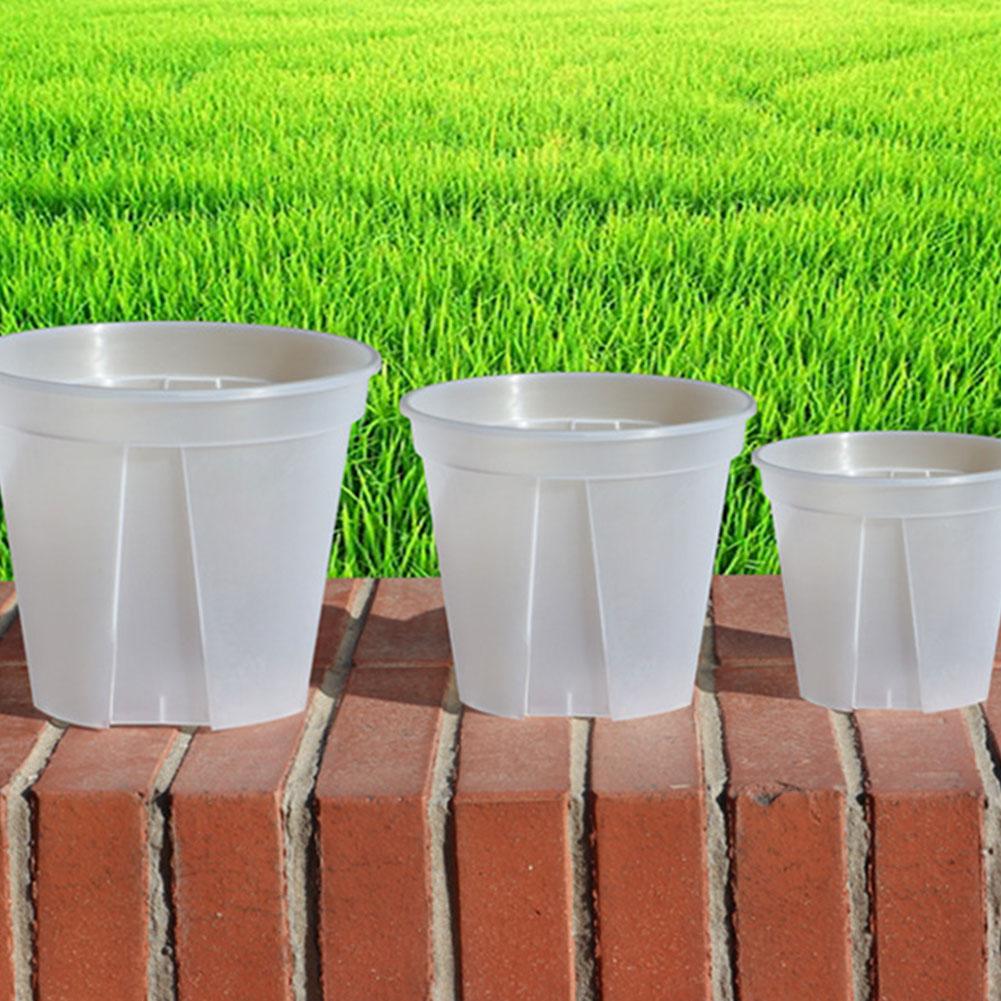Transparent Plastic Pots Root  - đánh giá và giá Orchid Potting Mix
