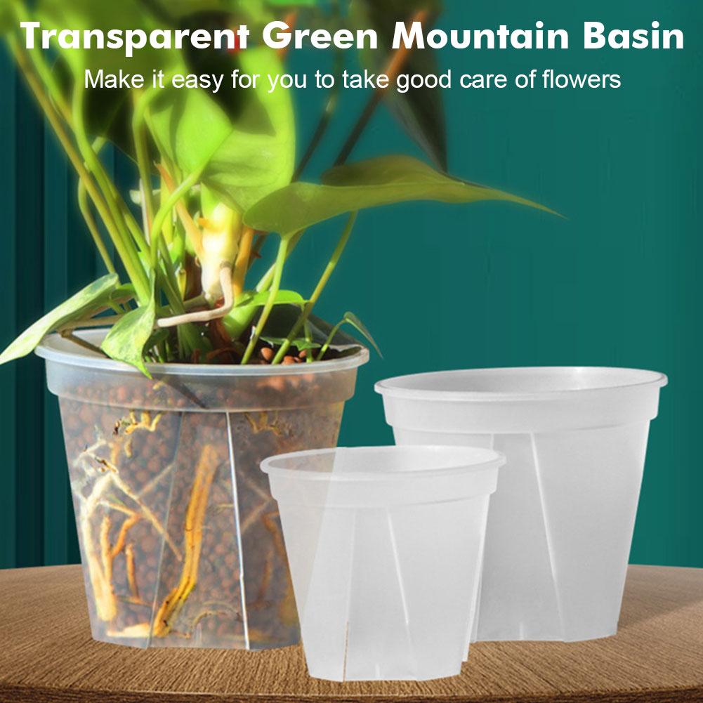 Transparent Plastic Pots Root  - đánh giá và giá Orchid Potting Mix