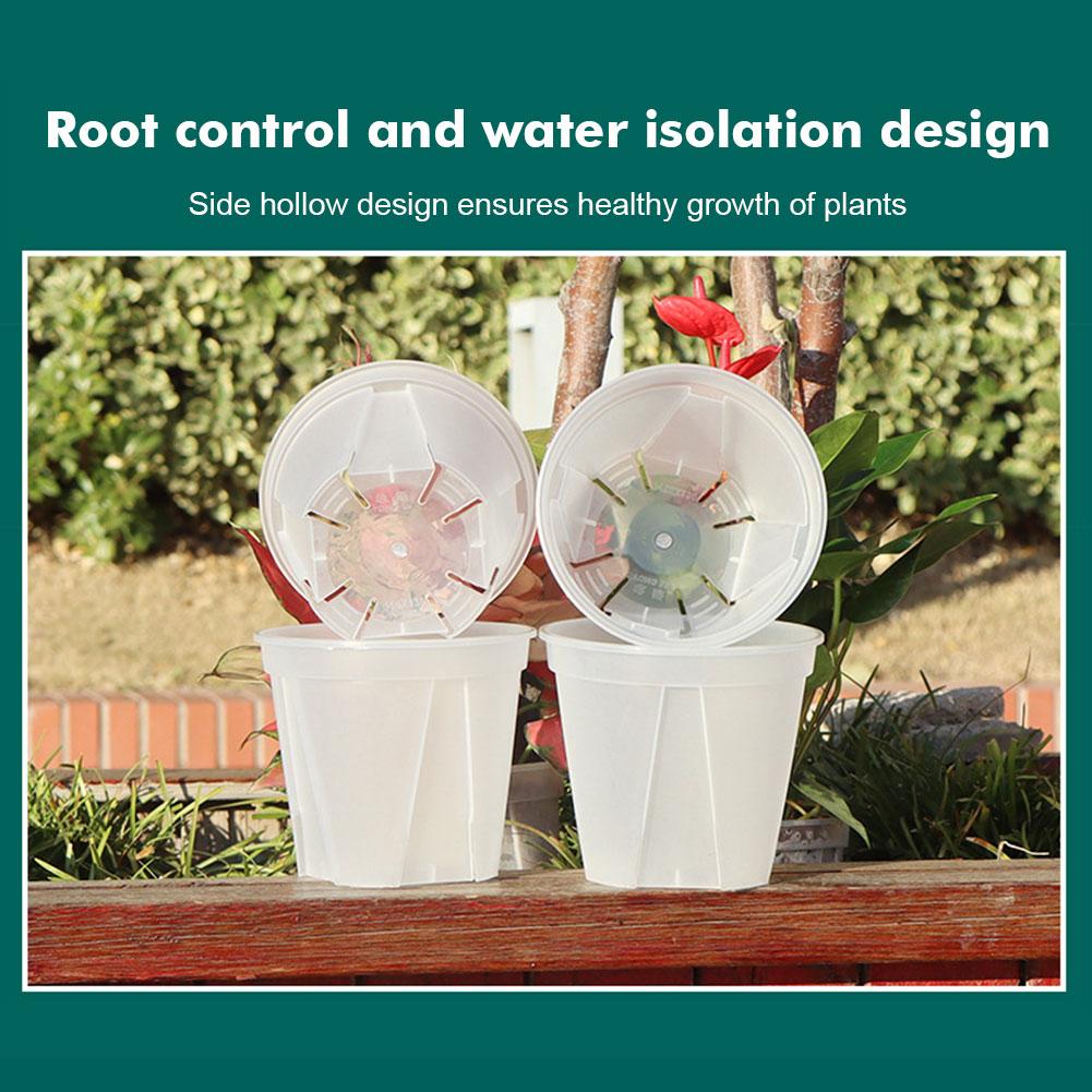 Transparent Plastic Pots Root  - đánh giá và giá Orchid Potting Mix