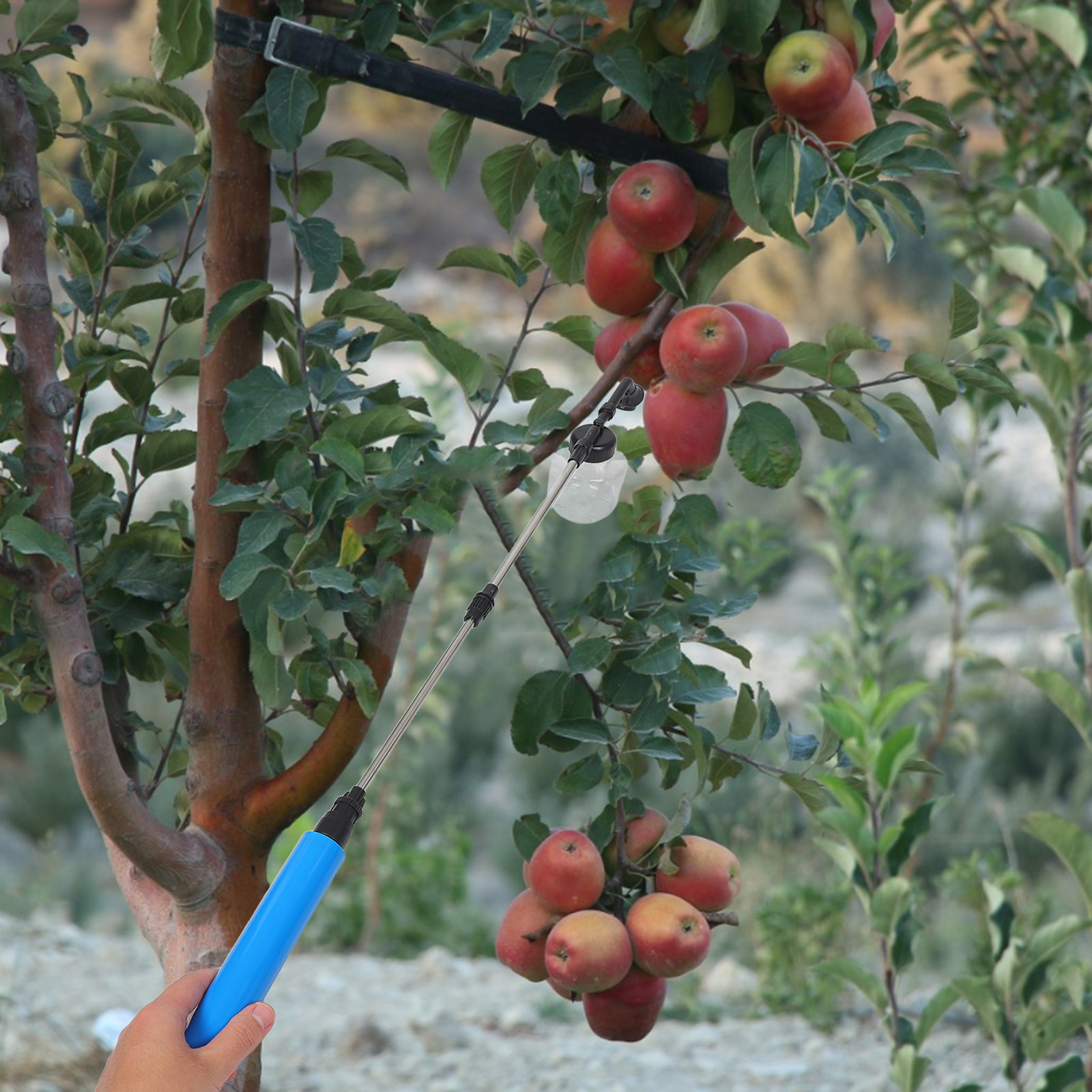 Hand Pollination Sprayer For F - đánh giá và giá Gardening Tools Vegetables