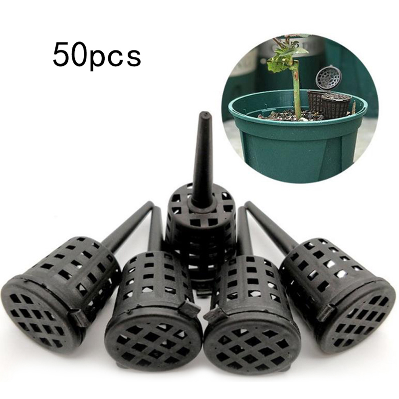 50 Pcs/pack Plants Fertilizer  - đánh giá và giá Orchid Potting Mix