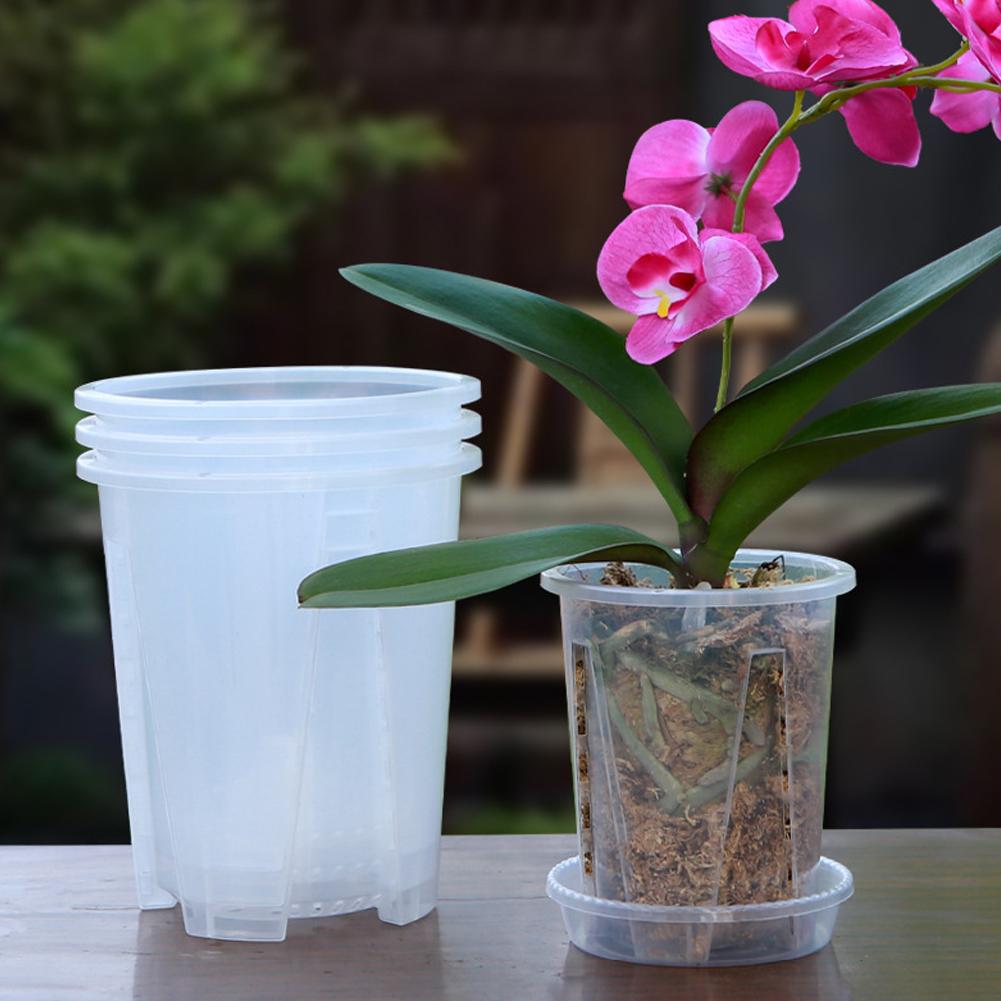 5PCS/Kit Clear Plastic Orchid  - đánh giá và giá Orchid Potting Mix
