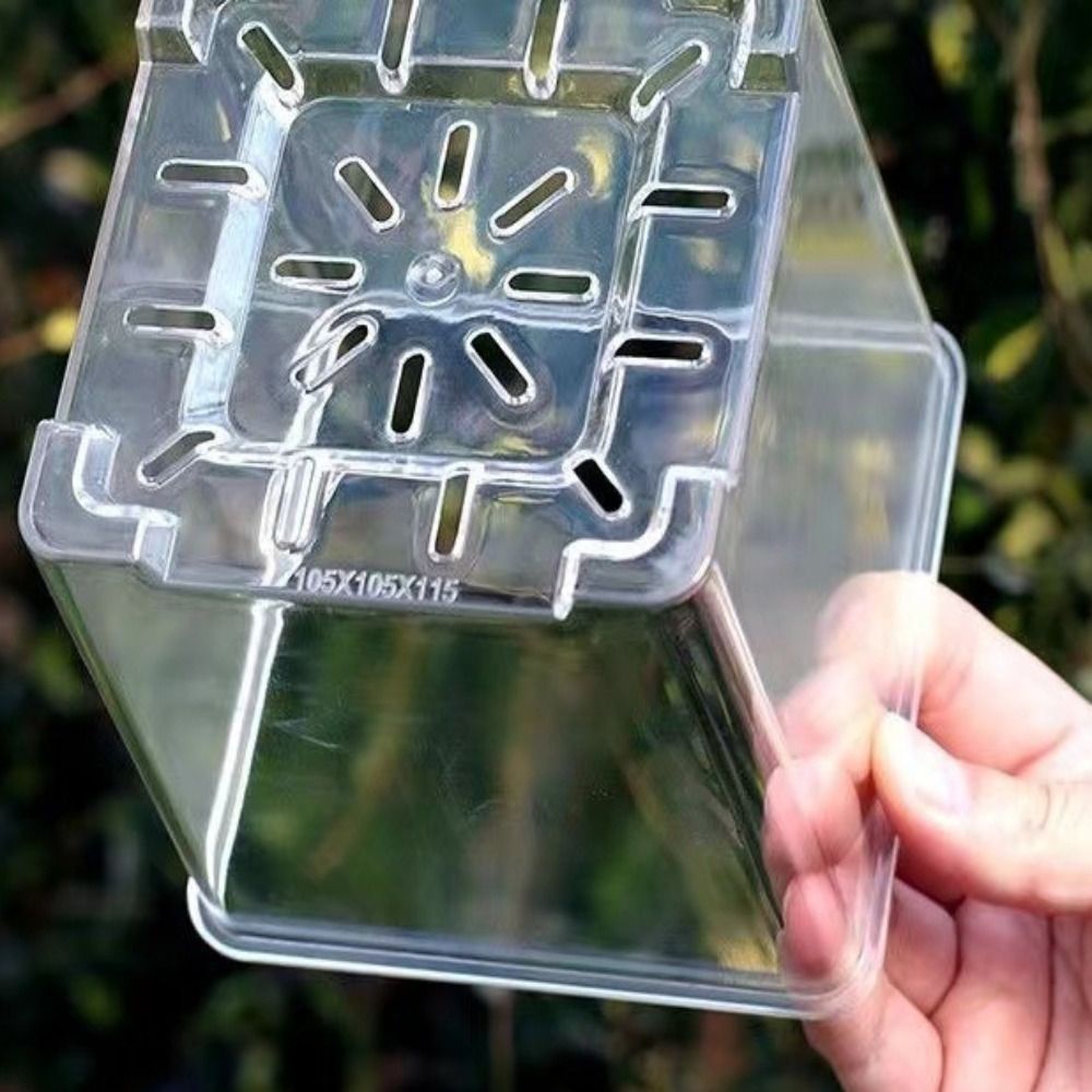 5PCS/Kit Clear Plastic Orchid  - đánh giá và giá Orchid Potting Mix