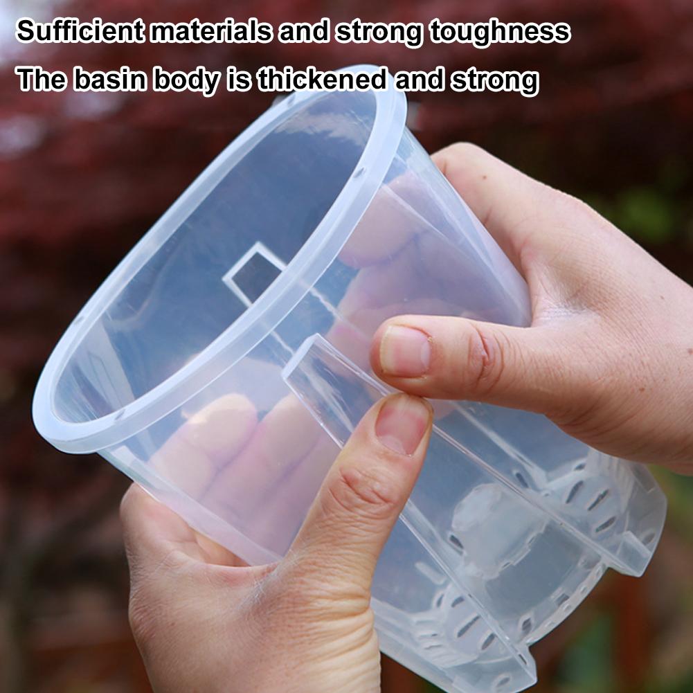 5PCS/Kit Clear Plastic Orchid  - đánh giá và giá Orchid Potting Mix
