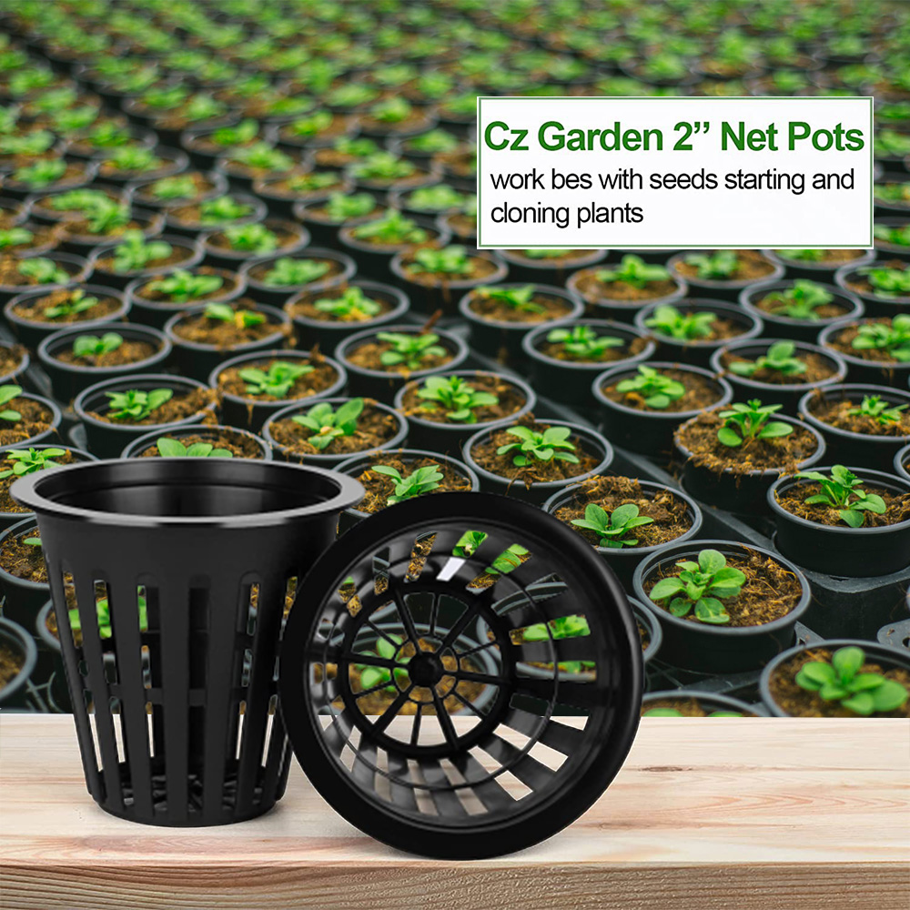 2inch Garden Nursery Pots Plan - đánh giá và giá Orchid Potting Mix