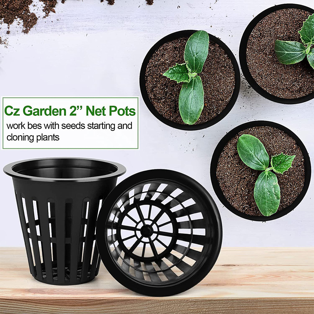 2inch Garden Nursery Pots Plan - đánh giá và giá Orchid Potting Mix